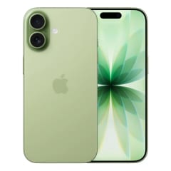 Смартфон Apple iPhone 17 256Gb Sage AF/A (1-sim) 1