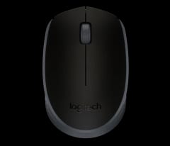 Мышь беспроводная Logitech M171 Wireless Mouse Black 1